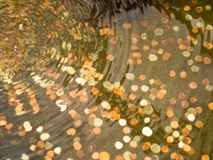 coins shine in a wishing well